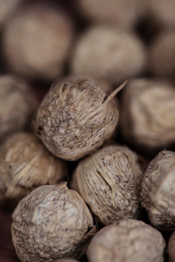 iStock_000036341368Small