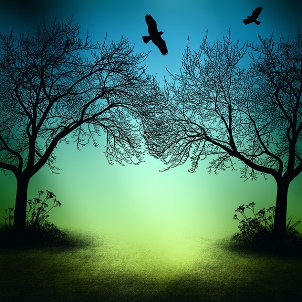 background-1782882_640