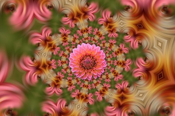 arrangement-4420041_640